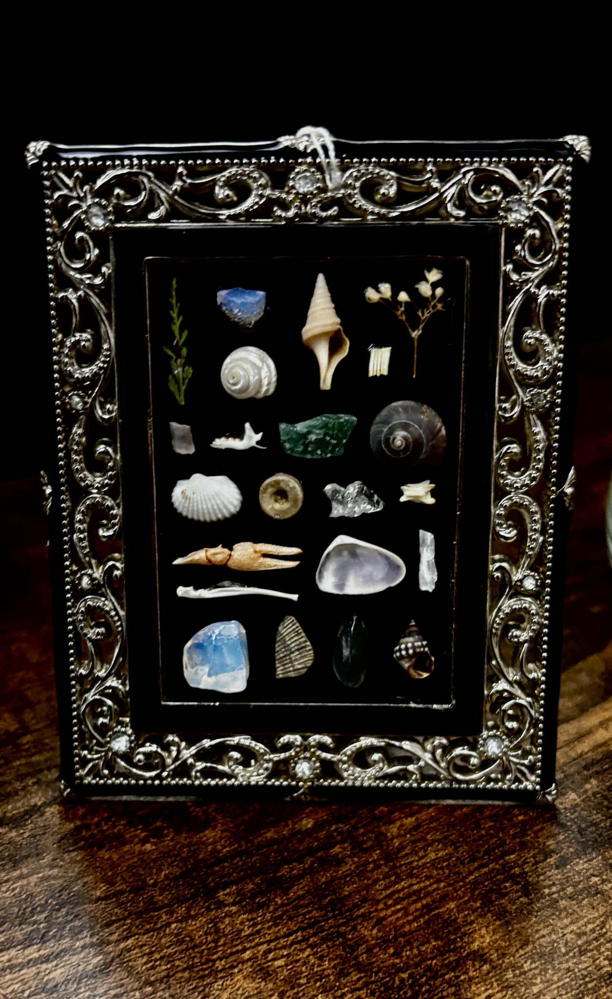 Ornate curio frame