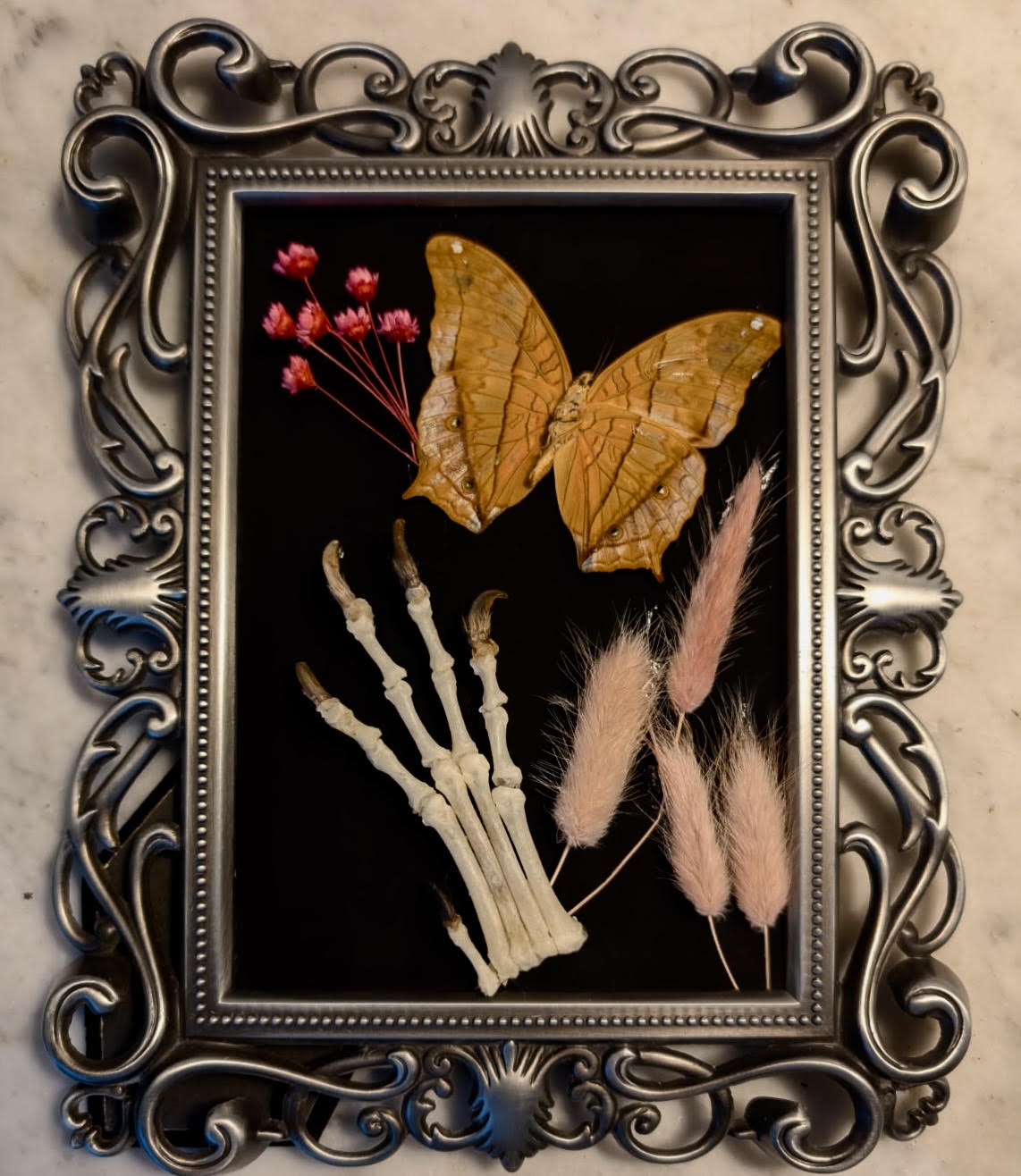 Framed skeletal paw arrangement
