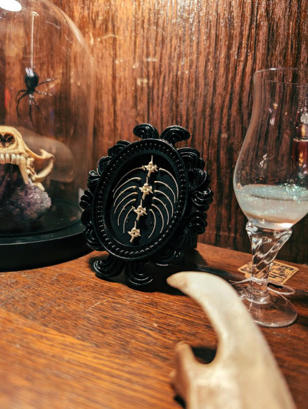 Rib specimen in an ornate frame
