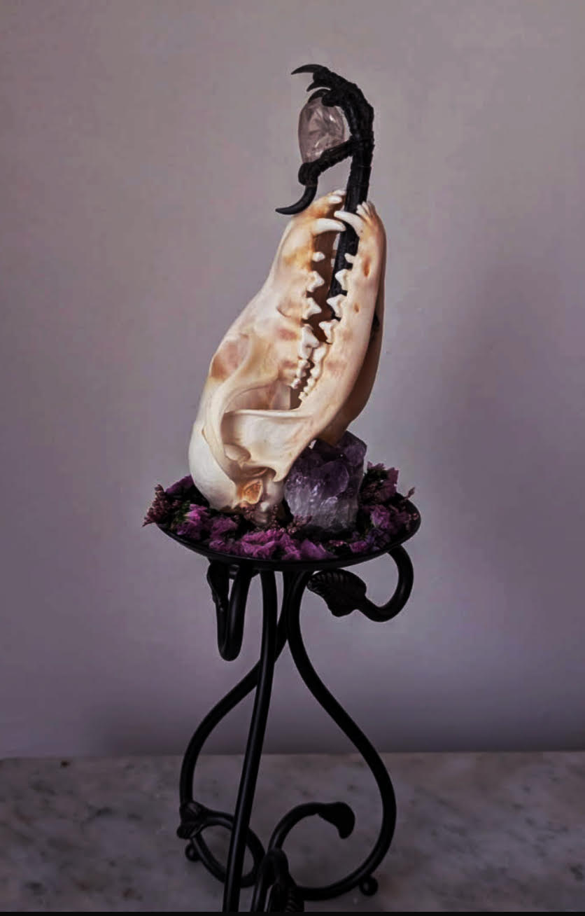 Skull and talon sculpture